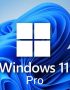 licenta windows 11 pro